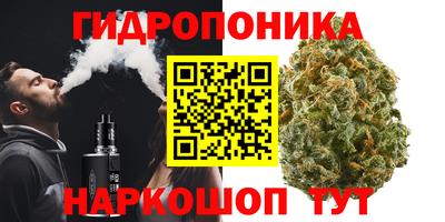 гашик Ликино-Дулёво