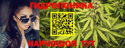сатива Мариинск