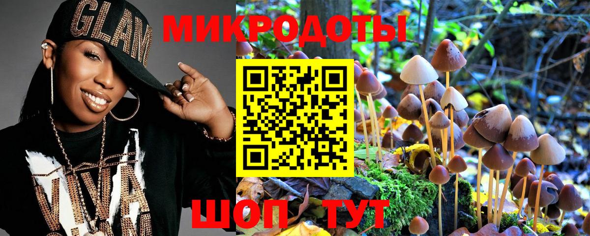 Псилоцибиновые грибы Psilocybe Старая Купавна