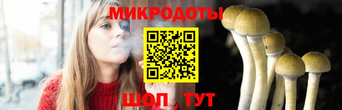 Галлюциногенные грибы MAGIC MUSHROOMS  Вход с VPN  Старая Купавна 